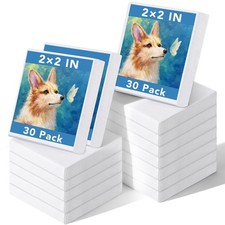 Prudiut 30 Pack Mini Painting Canvas, 2x2inch Small Mini, White picture