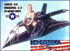 9 FT INFLATABLE F-117A STEALTH FIGHTER POOL FLOAT WATER CRAFT ICF TOYS picture