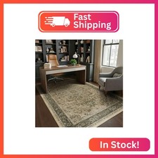 Jainmy Vintage Distressed 5x8 Area Rugs for Living Room Bedroom, Low Pile Machin picture