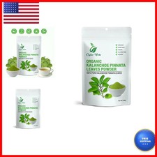 100g Kalanchoe Pinnata Leaves Powder - Healthy, Well-Cleaned, Dried Organic picture