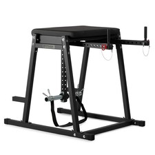 Titan Fitness Economy H-PND, Reverse Hyperextensions Lower Body Machine picture