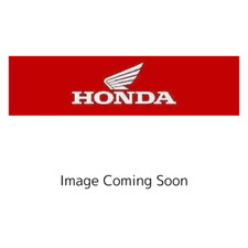 NEW Genuine OEM Honda CLUTCH (OUTER) - 22100-HN1-A40 picture