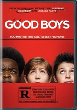 Good Boys (DVD, 2019) The Disc Only Rdbx Ge 516 picture