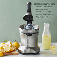 Breville Citrus Press Electric Juicer Stainless Steel Motor picture