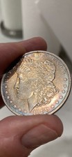 1880 P Morgan Silver Dollar *BEAUTIFUL BLUE OBV AND REV TONING* - Ungraded XF picture