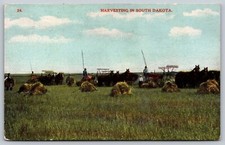 Postcard Men with Horse Drawn Implements Harvesting Wheat in South Dakota c1910 picture