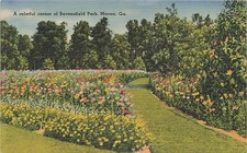 Postcard GA: Baconsfield Park Garden Path, Macon, Georgia Linen picture