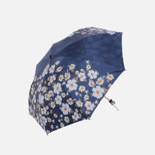 Japanese umbrella-compatible parasol picture