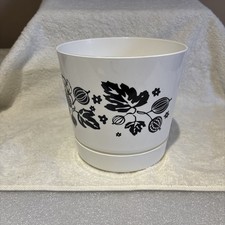 Pyrex Gooseberry Inspired 6