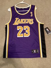 Lebron James Fanatics Branded LA Lakers Purple 2020 NBA Finals Champion Jersey picture
