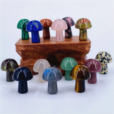25pcs Mini Crystal Mushrooms Agate Stones Natural Quartz Crystal Healing picture