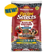 Pennington Select Black Oil Sunflower Seed Wild Bird Dry Feed, 10 lb. New Bag picture