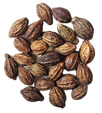 Haritaki Whole – Terminalia Chebula Myrobalan picture