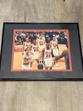 ORIGINAL 1996 Chicago Bulls Team Michael Jordan Pippen Rodman Type 1 Bob Horsch picture