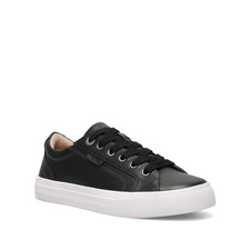 Taos Plim Soul Lux Shoes Womens Lace Up Sneakers Many Colors and Sizes NIB picture