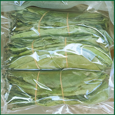 Dried Soursop Graviola Leaves Herbal Tea 100% Organic Hojas De Guanabana Leaf picture