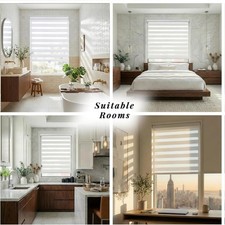 ShadesU Zebra Window Shade 62