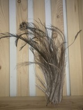 200 Emu Feathers Double Plumed Craft Projects Beautiful Decor Different Sizes 🪶 picture