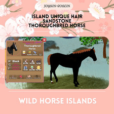 🐎 Wild Horse Islands 🐎 Island Unique Hair IUH Thoroughbred picture