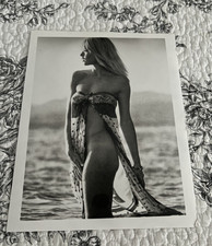 Brigitte Bardot 1960's Voluptuous Busty Starlet Vintage Doubleweight 8x10 photo picture