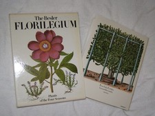 The Besler Florilegium: Plants of the Four Seasons picture