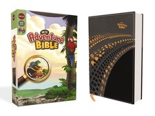 NKJV Adventure Bible, Leathersoft, Gray, Full Color - Zonderkidz picture