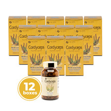 FINE JAPAN Cordyceps Mushroom – Energy, Stamina, Immune Support [12 Boxes] picture