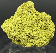 Superb Green Nontronite, ~ 8 cm, Jove Lauriano Claum, Minas Gerais, Brazil picture