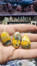 Bumblebee Jasper #201 picture
