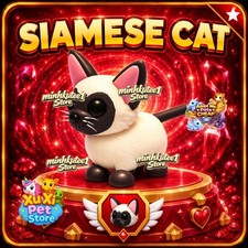 🐱 Siamese Cat | Adooopt Peet Now picture