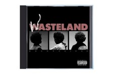 Wasteland CD - Brent Faiyaz  picture