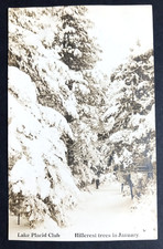 Lake Placid Club NY RPPC Real Photo c1910s Hillcrest Trees January Winter Snow picture