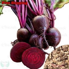 Detroit Dark Red Beet Seeds, Early Dark Red Seeds | NON-GMO, Vegetable Seeds picture