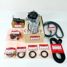 NEW 9PCS Timing Belt Kit with Water Pump For HONDA / ACURA Accord Odyssey V6 US picture
