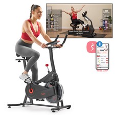Sunny Health & Fitness ACTIVE 100 Smart Magnetic Cycling Exercise Bike picture