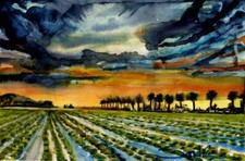 Oxnard Fields :  Sandra Watercolors™ California : ORIGINAL PAINTING Agricultural picture