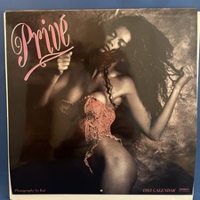 VINTAGE Prive 1993 Pinup Girl Wall calendar - Works For 2027 picture