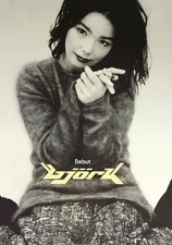 11x17 Bjork Poster Photography 1993 Debut picture