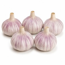 5 Whole Chesnok Red Garlic Bulbs for Planting Hardneck Fall Garden Raised Beds picture
