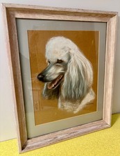Vintage Fran Shorey Original Pastel White Poodle Dog Portrait Framed 18.5x23
