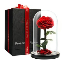 Preserved Rose in Glass Dome Eternal Enchanted Forever  - Infinity Rose  - picture