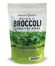 Broccoli Seeds for Sprouting, 1 lb | Waltham 29 picture