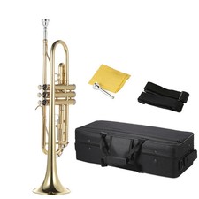Trumpet Bb B Flat Brass Gold-painted Durable Musical Instrument with Strap Case picture