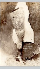 A BURL FREAK TREE STUMP LEG eureka ca 1920 postcard california real photo rppc picture