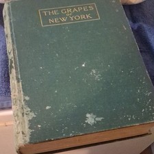 U. P. Hedrick The Grapes of New York Illus HC J.B. Lyon Albany 1908 English picture