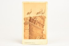 1860s CDV Carte-de-visite Albumen Photo - Storkes Nest By: Falkenstein V25 picture
