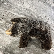 11” Long Vintage Gray Mohair Steiff Dalle 1960’s Pig Warthog Boar No Tags picture