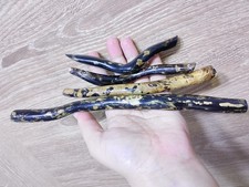 Black &gold Coral Genuine Branch 135 gr Rare Natural 4 pcs Specimen yusr picture