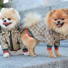 Cute Stylish Pet Hoodie Zipper Luxury Dog Jacket Chihuahua Frenchies Pomeranians picture