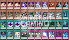 Macro Monarch Deck Cosmos Dimensional Fissure Mobius Yugioh picture